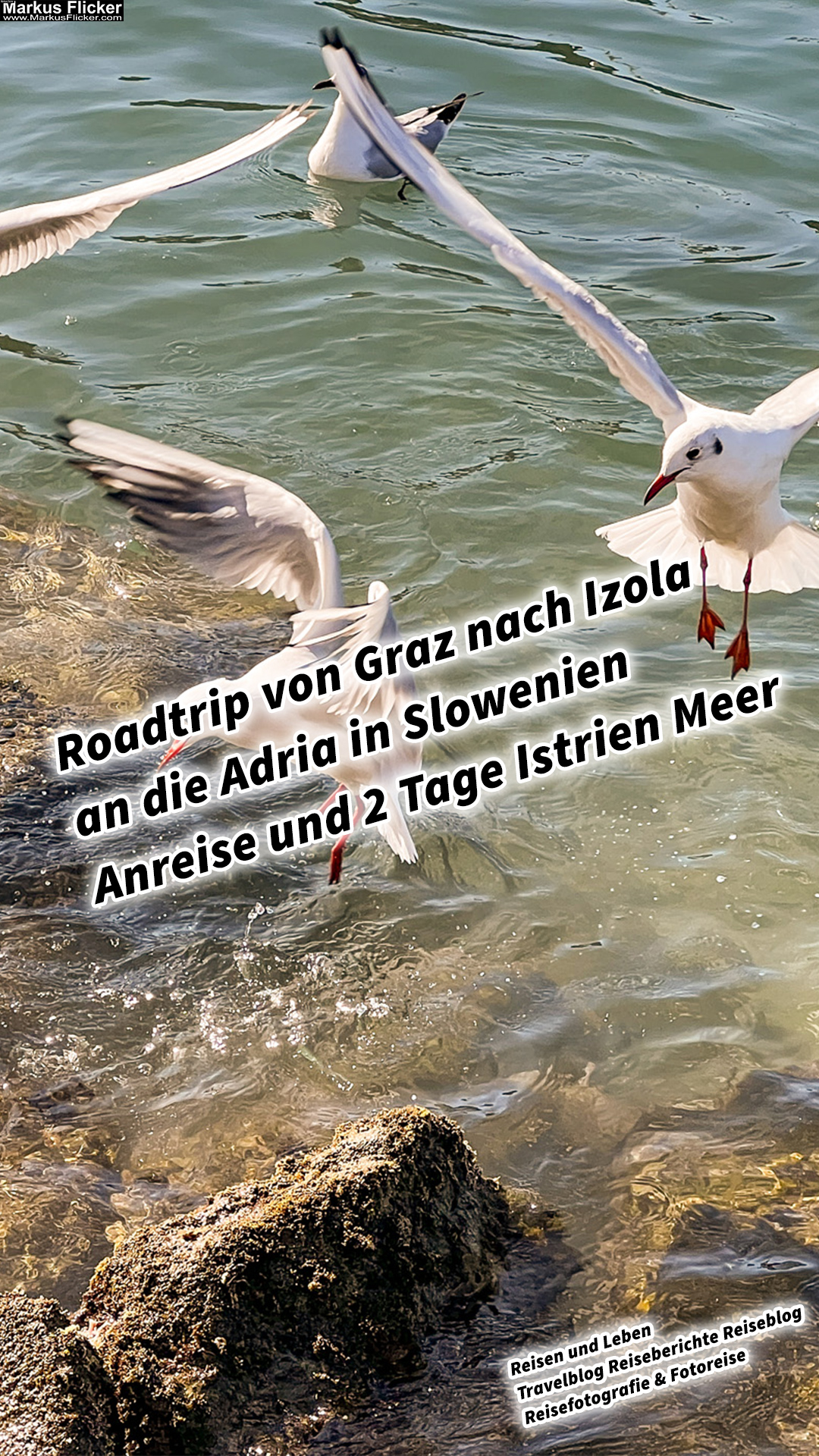 Roadtrip von Graz nach Izola an die Adria in Slowenien Anreise und 2 Tage Istrien Meer