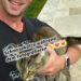 Schmusekatze während dem Fotografieren 🐈😻😺 Katzenfotos und Katzenvideos im Internet in Social Media für dein Business Katzen sind ohne Zweifel die Stars des Internets. Ihre anmutigen Bewegungen, entzückenden Gesichtsausdrücke und oft unerwarteten Verhaltensweisen ziehen weltweit Millionen von Menschen in ihren Bann. Wenn du jemals versucht hast, deine eigene Katze während des Fotografierens festzuhalten, weißt du, wie herausfordernd – und zugleich lohnend – diese Aufgabe sein kann. Schmusekatzen, die sich gerne streicheln lassen und die Kamera scheinbar lieben, machen diesen Prozess zu einem echten Vergnügen. Fotograf Videograf Gleisdorf Graz Content Creator Autor Steiermark Österreich