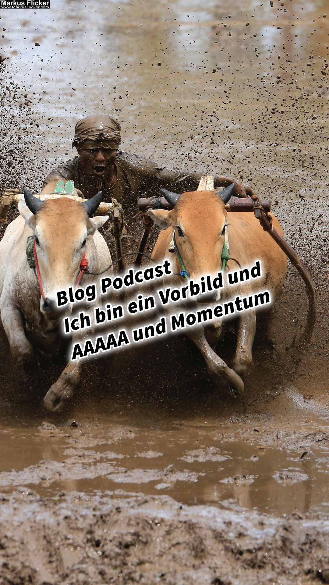 Blog Podcast Ich bin ein Vorbild und AAAAA und Momentum Thomas Alva Edison, Dirk Kreuter und Marcel Remus als Vorbild Über ToDo Liste und Vision Board