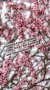 Frühling Fotos und Videos Bildideen Tipps Tricks mit Kamera und Smartphone. Fotografieren und Filmen mit dem Smartphone: Bessere Fotos und Videos mit dem Handy für Freizeit, Hobby und Business