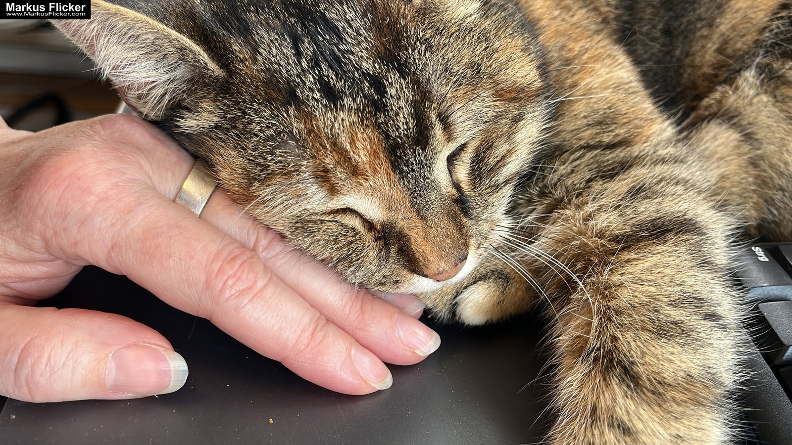 Vernissage ARTenergy von Martina Brandl Feistritzwerke Gleisdorf