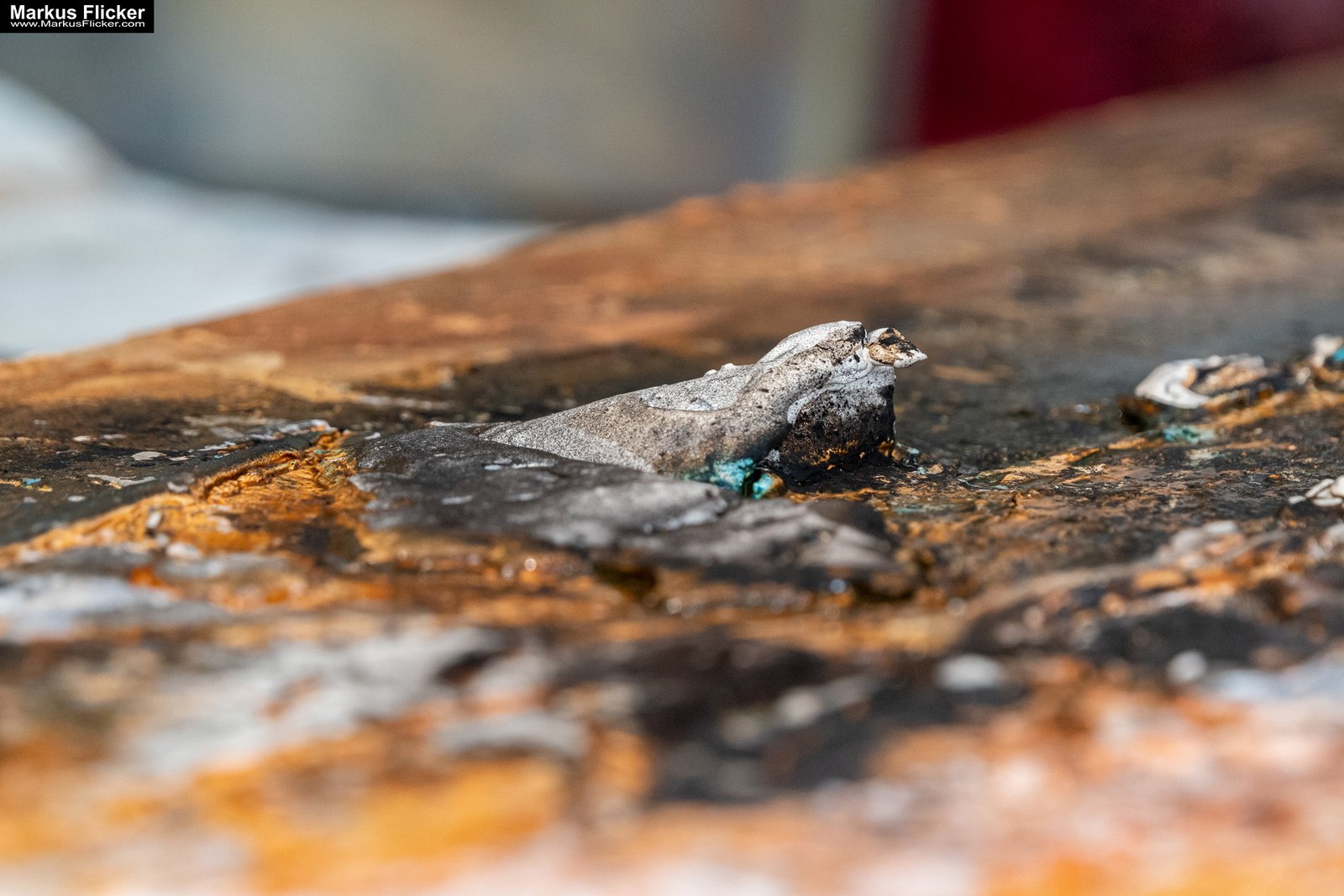 Vernissage ARTenergy von Martina Brandl Feistritzwerke Gleisdorf