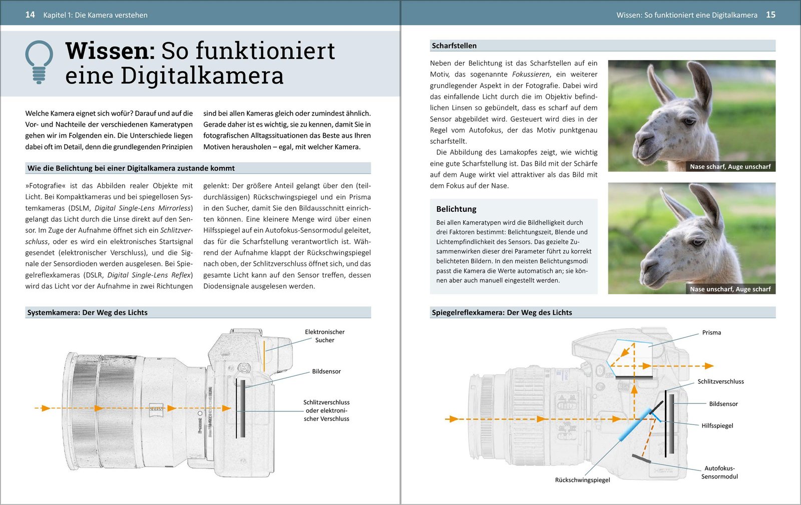 Fotografieren für Einsteiger: Einfach fotografieren lernen. Der praktische Fotokurs für Anfänger von Kyra Sänger und Christian Sänger