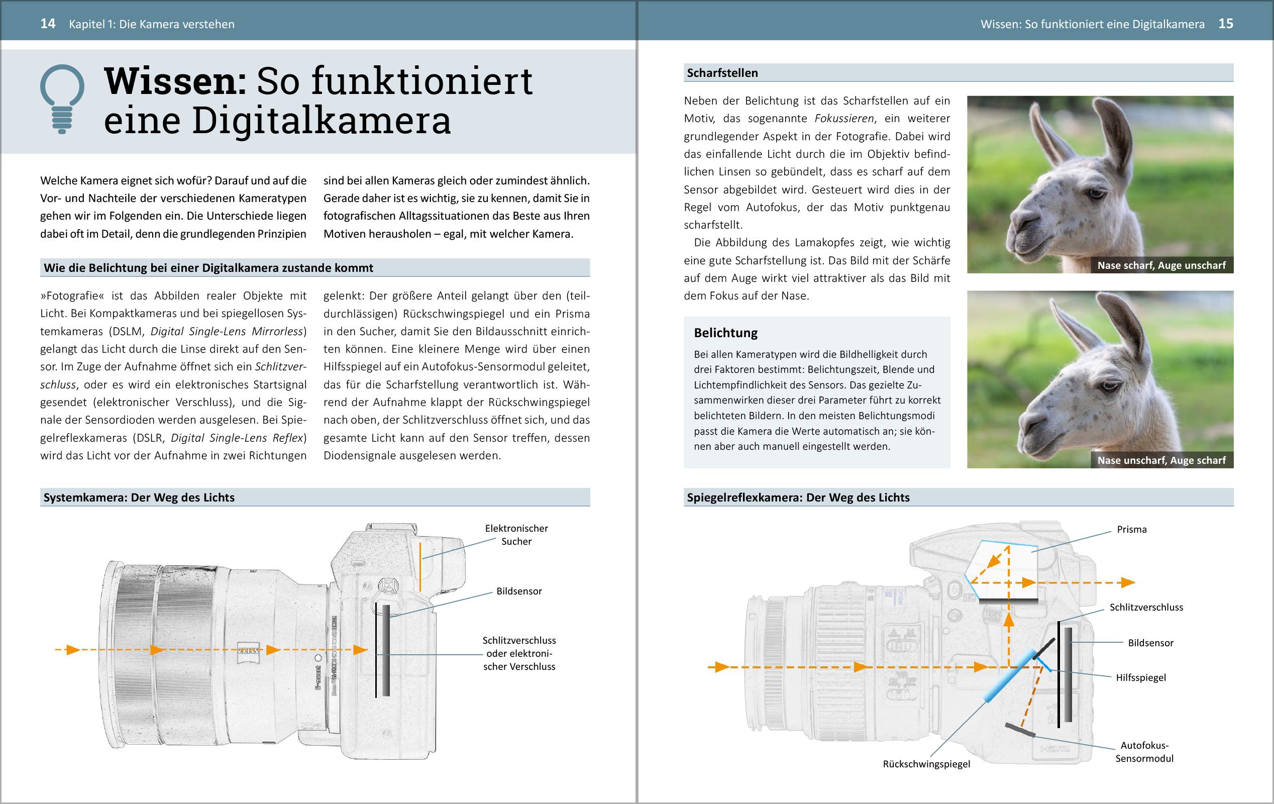 Fotografieren für Einsteiger: Einfach fotografieren lernen. Der praktische Fotokurs für Anfänger von Kyra Sänger und Christian Sänger