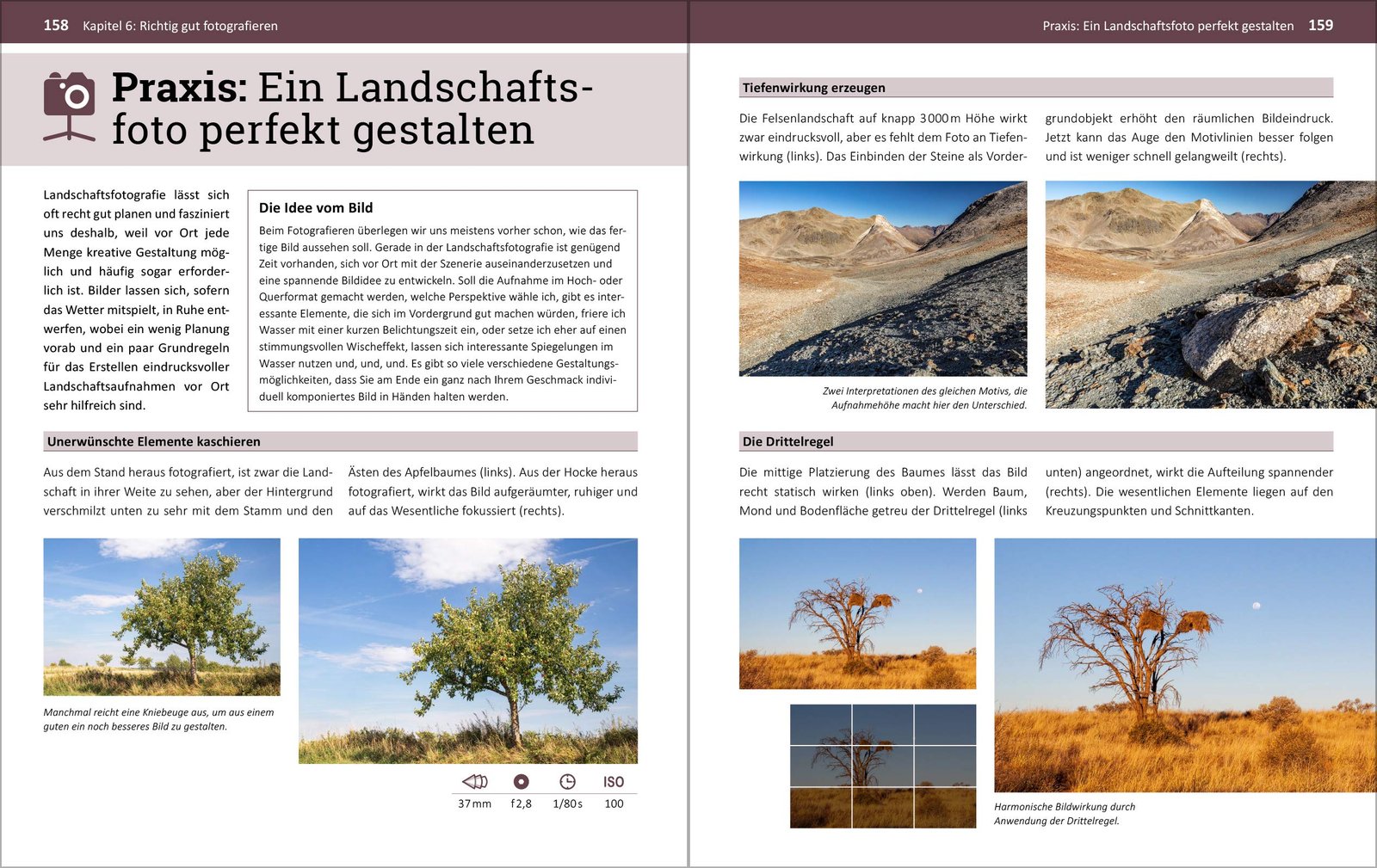 Fotografieren für Einsteiger: Einfach fotografieren lernen. Der praktische Fotokurs für Anfänger von Kyra Sänger und Christian Sänger