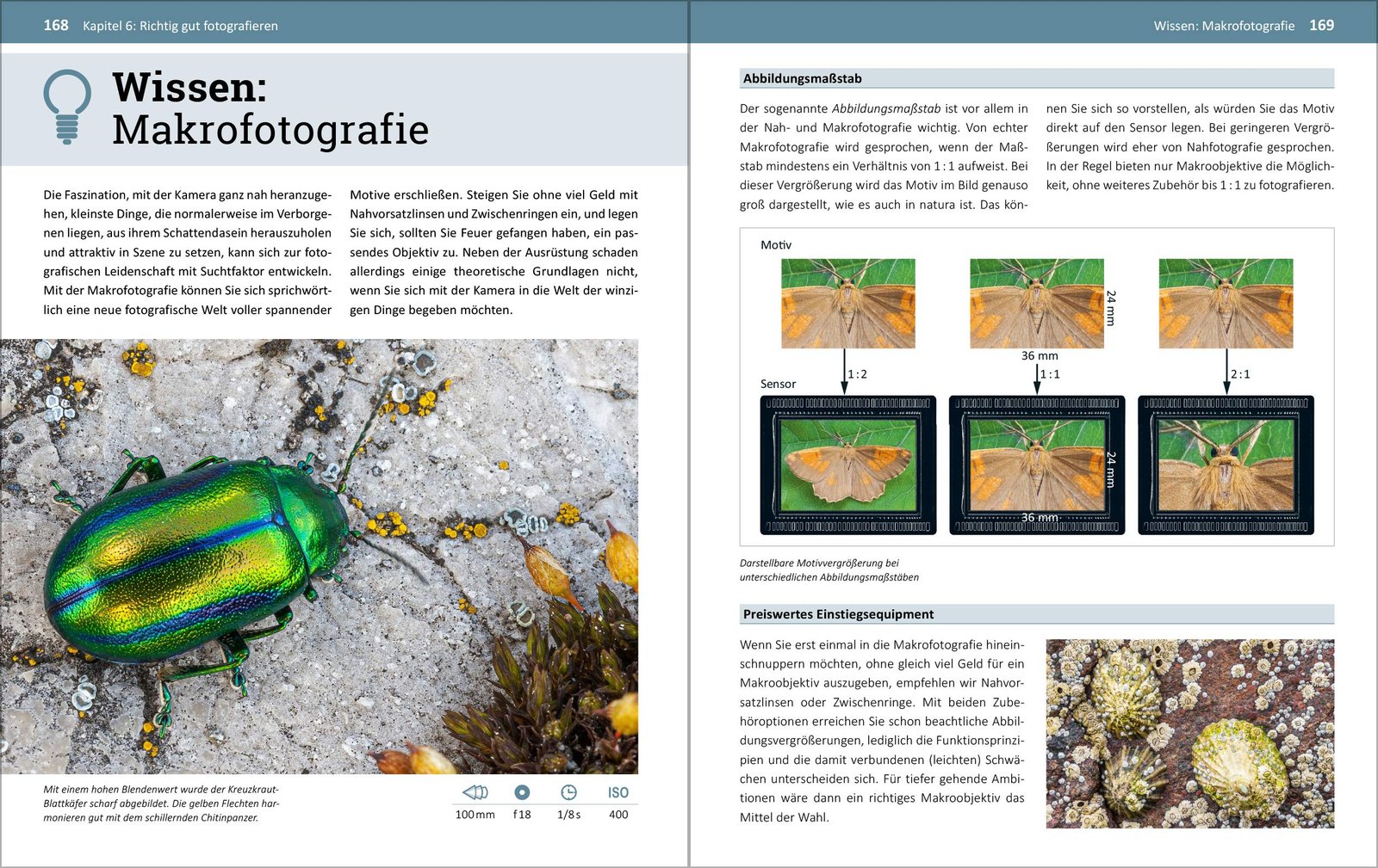Fotografieren für Einsteiger: Einfach fotografieren lernen. Der praktische Fotokurs für Anfänger von Kyra Sänger und Christian Sänger