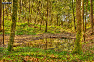 HDR-Fotos (High Dynamic Range) Tipps für Aufnahmen mit Kamera und Smartphone. Fotografieren und Filmen mit dem Smartphone: Bessere Fotos und Videos mit dem Handy für Freizeit, Hobby und Business