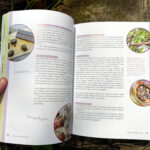 Verwurzelt und beflügelt: Mit Kindern durch die wilde Natur von Daniela Weißbacher freya Verlag