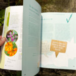 Verwurzelt und beflügelt: Mit Kindern durch die wilde Natur von Daniela Weißbacher freya Verlag