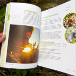 Verwurzelt und beflügelt: Mit Kindern durch die wilde Natur von Daniela Weißbacher freya Verlag