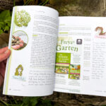 Verwurzelt und beflügelt: Mit Kindern durch die wilde Natur von Daniela Weißbacher freya Verlag