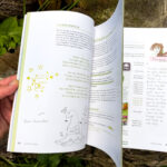 Verwurzelt und beflügelt: Mit Kindern durch die wilde Natur von Daniela Weißbacher freya Verlag