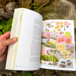 Verwurzelt und beflügelt: Mit Kindern durch die wilde Natur von Daniela Weißbacher freya Verlag