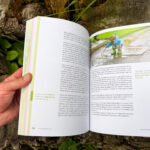 Verwurzelt und beflügelt: Mit Kindern durch die wilde Natur von Daniela Weißbacher freya Verlag