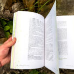 Verwurzelt und beflügelt: Mit Kindern durch die wilde Natur von Daniela Weißbacher freya Verlag