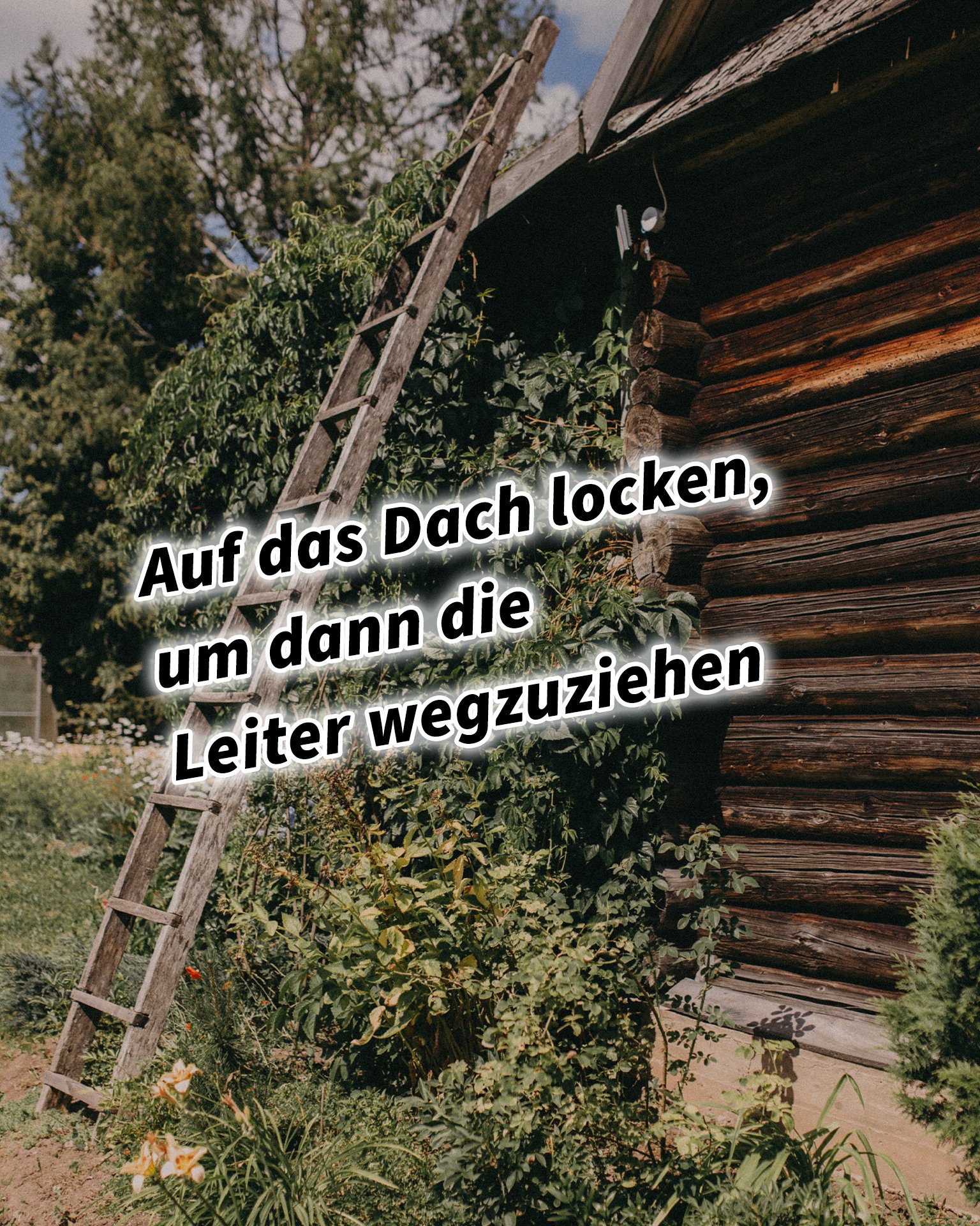 Auf das Dach locken, um dann die Leiter wegzuziehen 36 Strategeme für deinen Erfolg als Selbstständiger und Unternehmer: Chinesische Strategien für deinen Erfolg im Business und im Leben