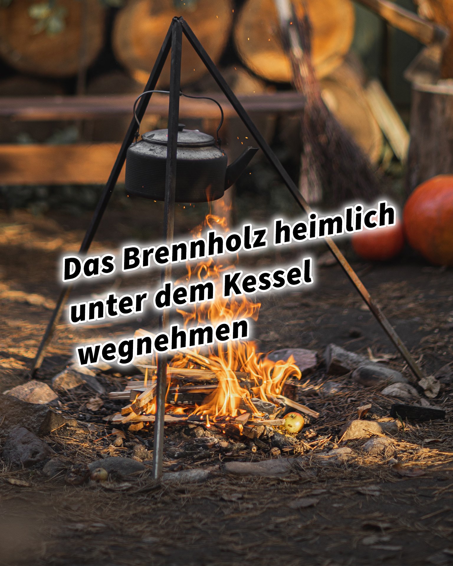 Das Brennholz heimlich unter dem Kessel wegnehmen 36 Strategeme für deinen Erfolg als Selbstständiger und Unternehmer: Chinesische Strategien für deinen Erfolg im Business und im Leben