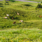 Großglockner Hochalpenstraße Österreich Nationalpark Hohe Tauern