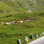 Großglockner Hochalpenstraße