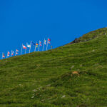 Großglockner Hochalpenstraße Österreich Nationalpark Hohe Tauern