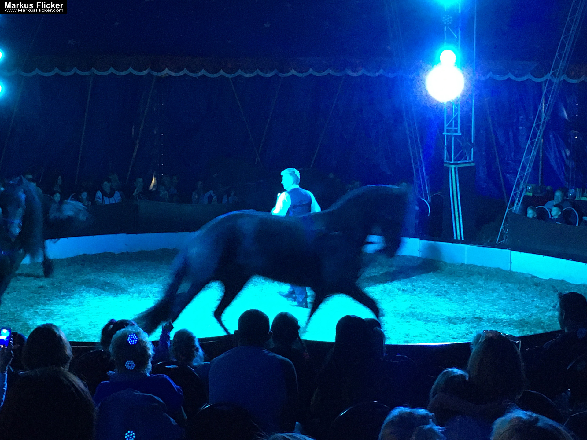 Der Zirkus ist in der Stadt. Fotografieren einer Vorstellung mit dem Smartphone