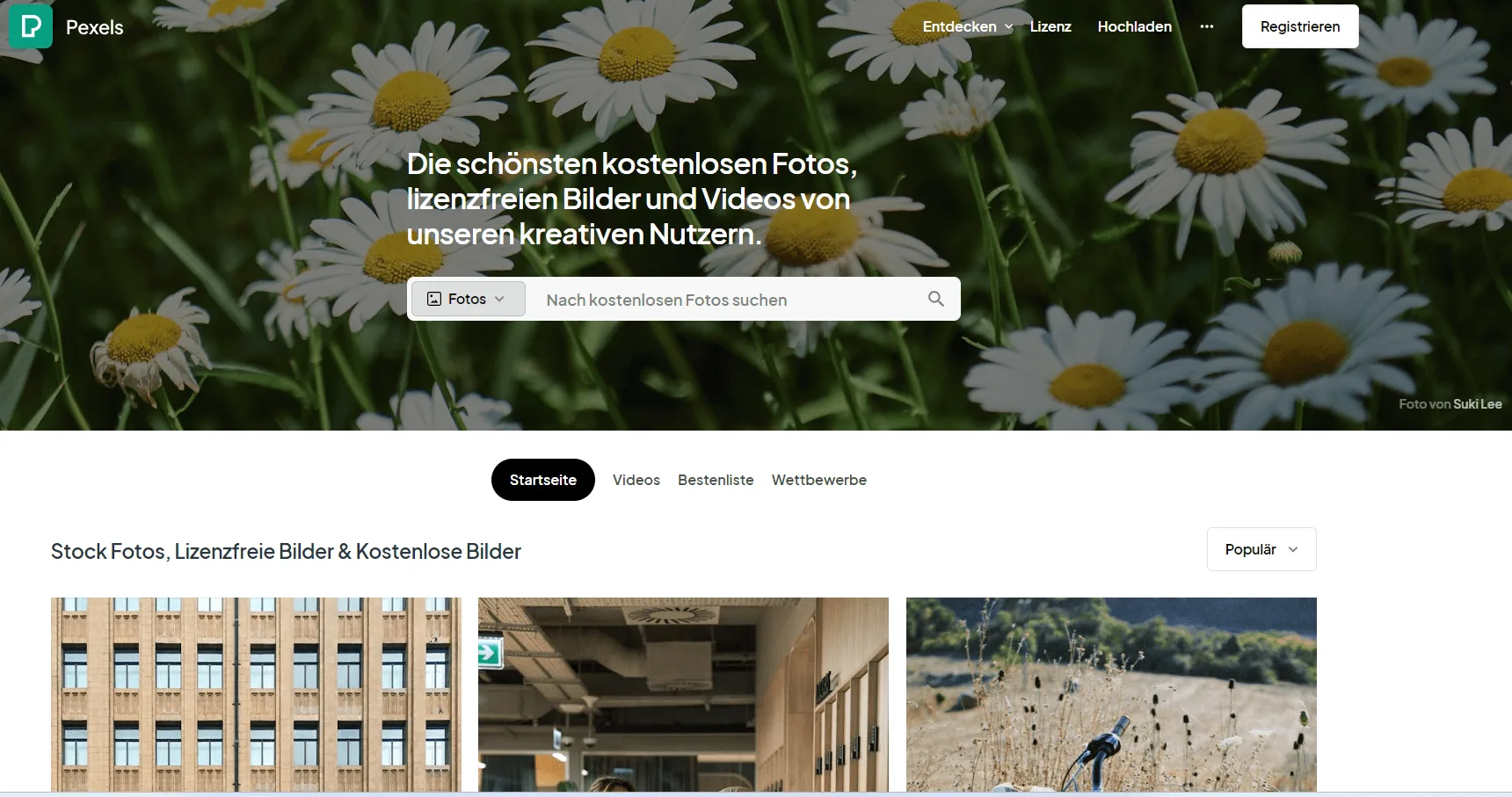 Mehr über den Artikel erfahren pexels.com Die schönsten kostenlosen Fotos, lizenzfreien Bilder und Videos von unseren kreativen Nutzern inkl. 17 kreative Foto- und Video-Tipps