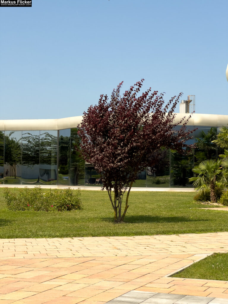 Therme MJUS World Resort & Thermal Park Körmend Ungarn