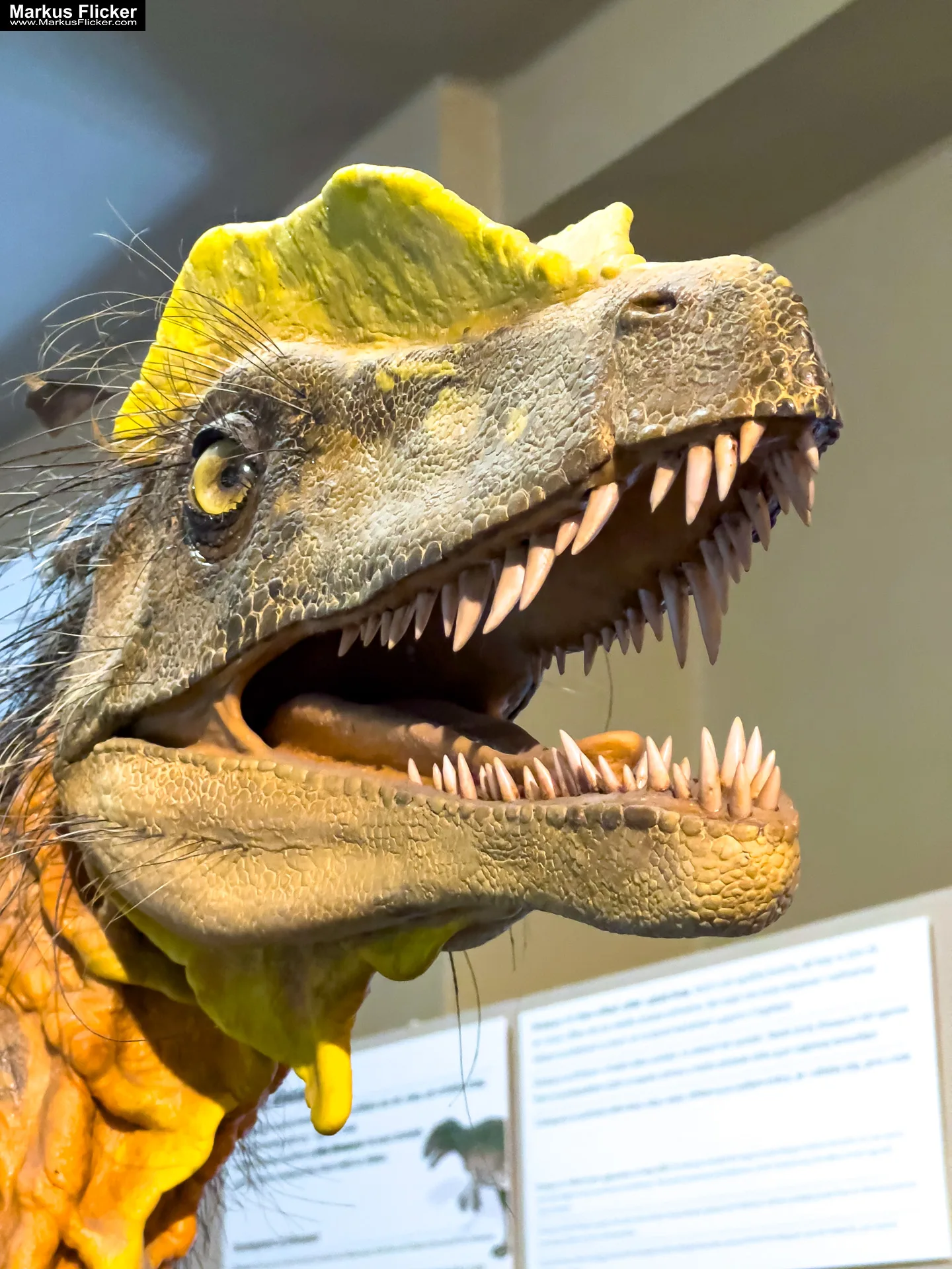 Mehr über den Artikel erfahren Slowakisches Nationalmuseum Slovak National Museum Slovenské národné múzeum Bratislava Slowakei inkl. 37 Tipps und Tricks für einen Besuch im Museum