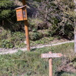 Abenteuer in der Natur: Die faszinierende Kesselfallklamm in Semriach, Steiermark, Österreich