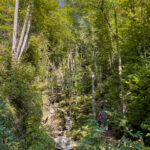 Abenteuer in der Natur: Die faszinierende Kesselfallklamm in Semriach, Steiermark, Österreich