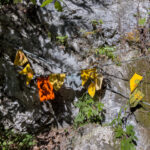 Abenteuer in der Natur: Die faszinierende Kesselfallklamm in Semriach, Steiermark, Österreich