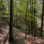 Abenteuer in der Natur: Die faszinierende Kesselfallklamm in Semriach, Steiermark, Österreich