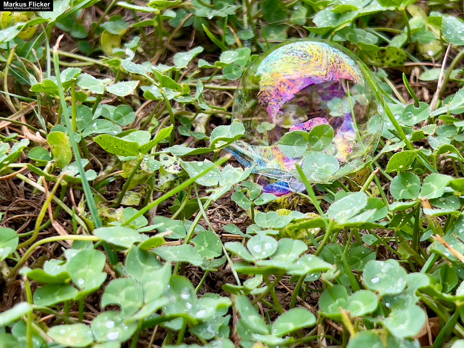 Seifenblasen bei jedem Wetter: Kreativer Fototipp mit dem Smartphone. Fotografieren und Filmen mit dem Smartphone: Bessere Fotos und Videos mit dem Handy für Freizeit, Hobby und Business