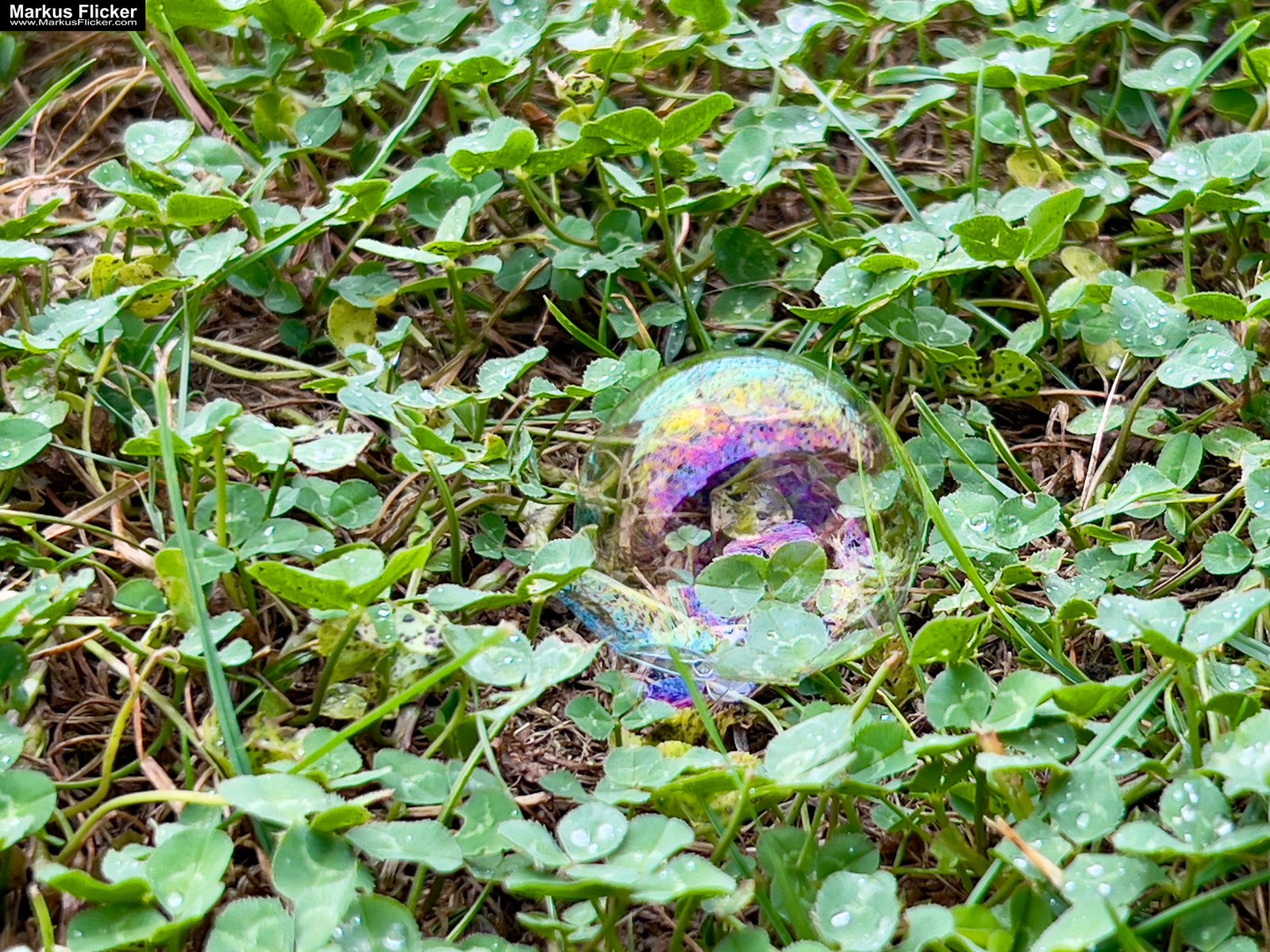 Seifenblasen bei Regen: Kreativer Fototipp mit dem Smartphone