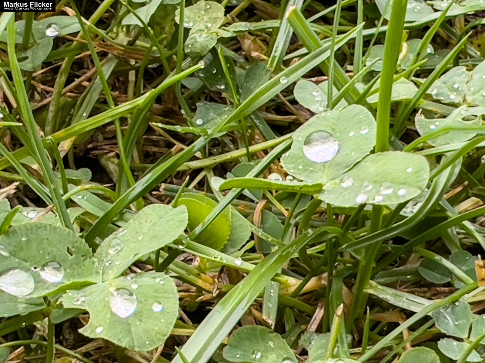 Seifenblasen bei jedem Wetter: Kreativer Fototipp mit dem Smartphone. Fotografieren und Filmen mit dem Smartphone: Bessere Fotos und Videos mit dem Handy für Freizeit, Hobby und Business
