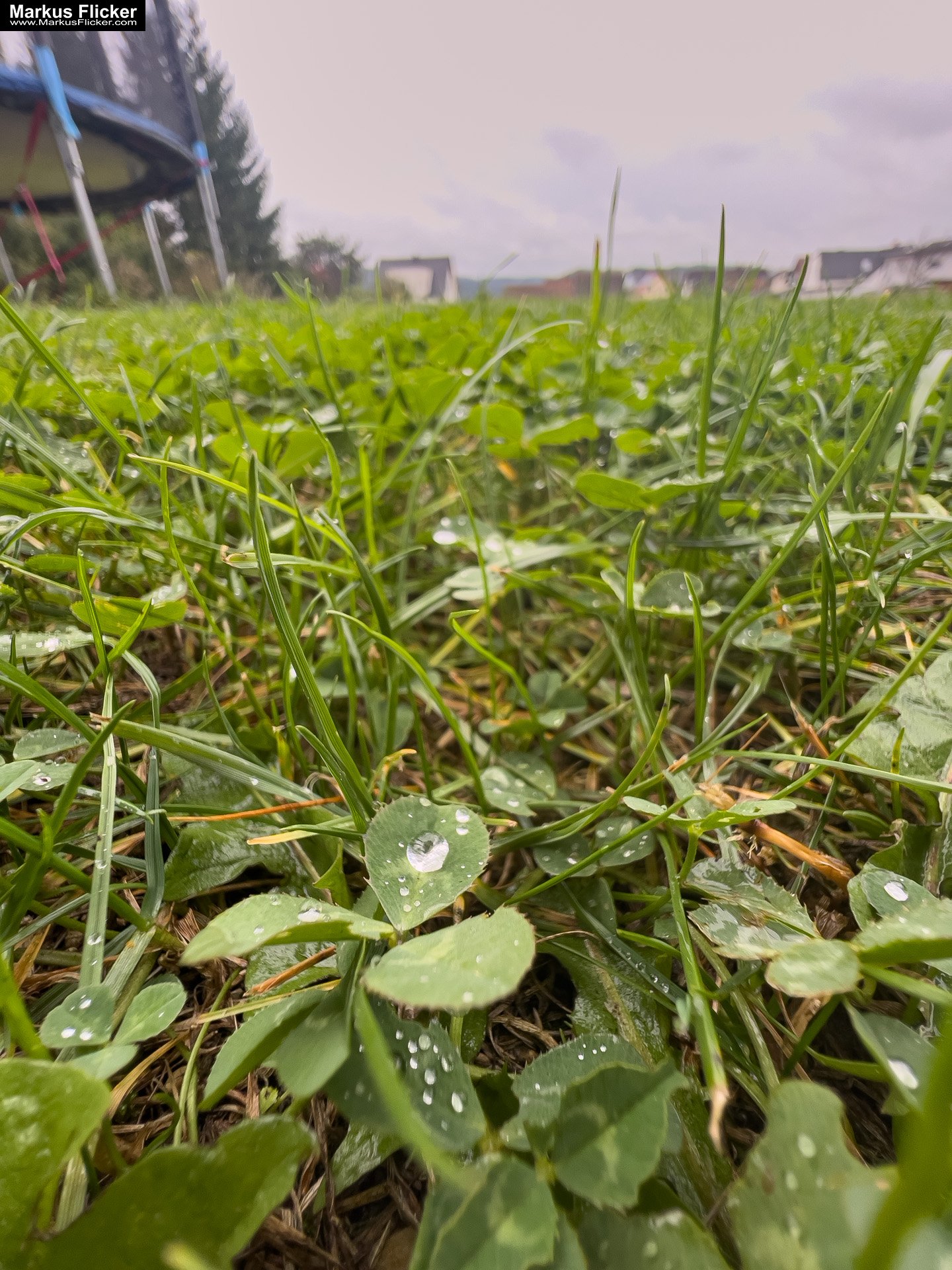 Seifenblasen bei jedem Wetter: Kreativer Fototipp mit dem Smartphone. Fotografieren und Filmen mit dem Smartphone: Bessere Fotos und Videos mit dem Handy für Freizeit, Hobby und Business
