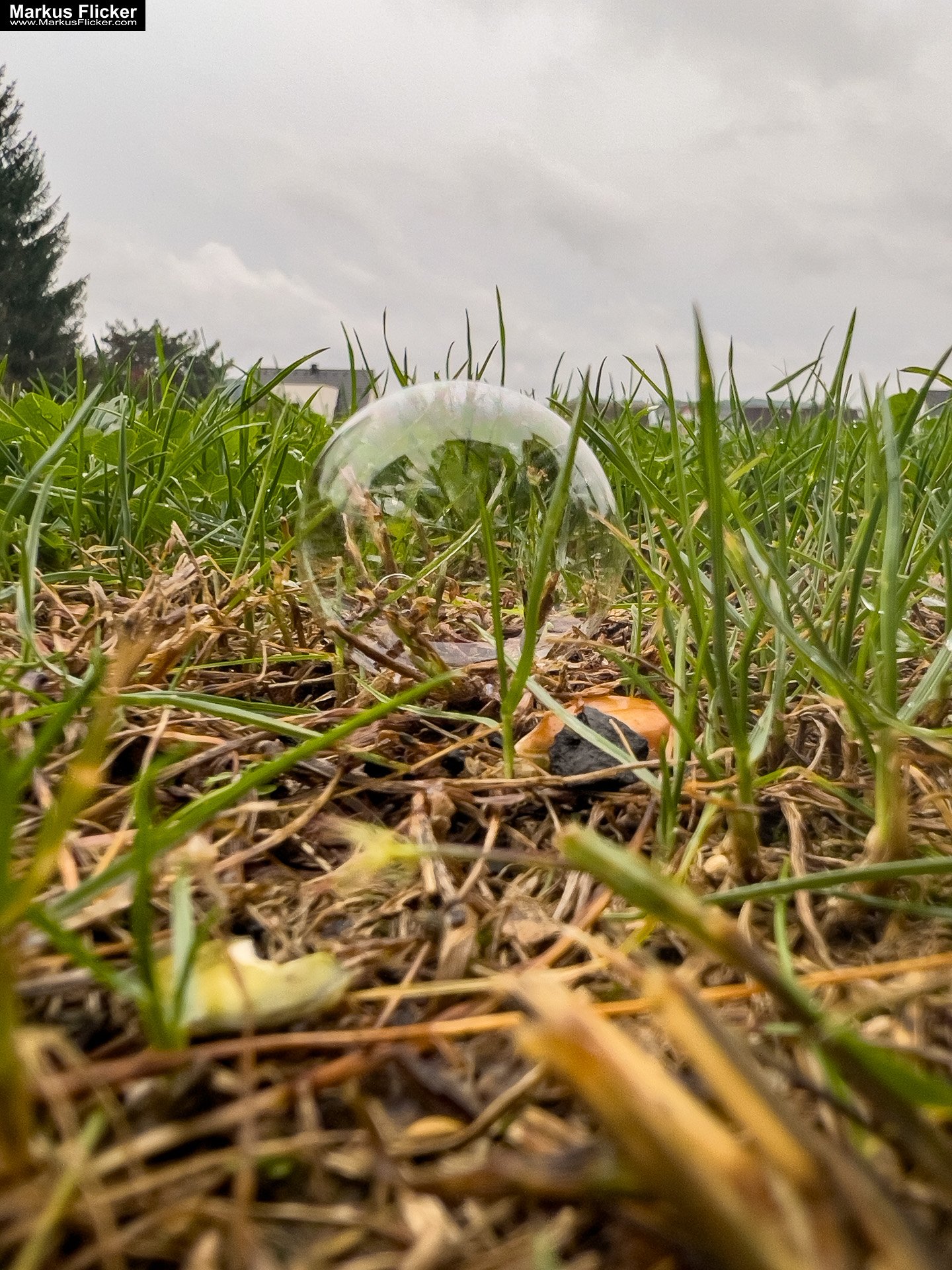 Seifenblasen bei jedem Wetter: Kreativer Fototipp mit dem Smartphone. Fotografieren und Filmen mit dem Smartphone: Bessere Fotos und Videos mit dem Handy für Freizeit, Hobby und Business