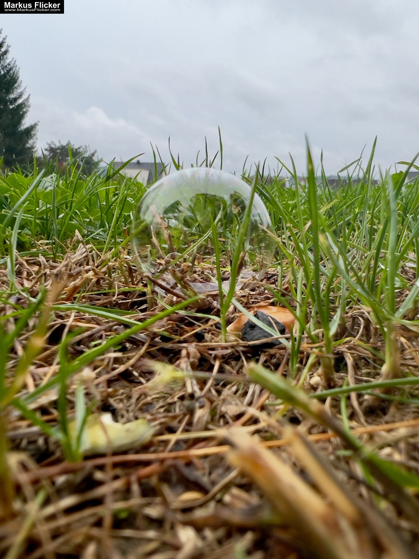 Seifenblasen bei jedem Wetter: Kreativer Fototipp mit dem Smartphone. Fotografieren und Filmen mit dem Smartphone: Bessere Fotos und Videos mit dem Handy für Freizeit, Hobby und Business