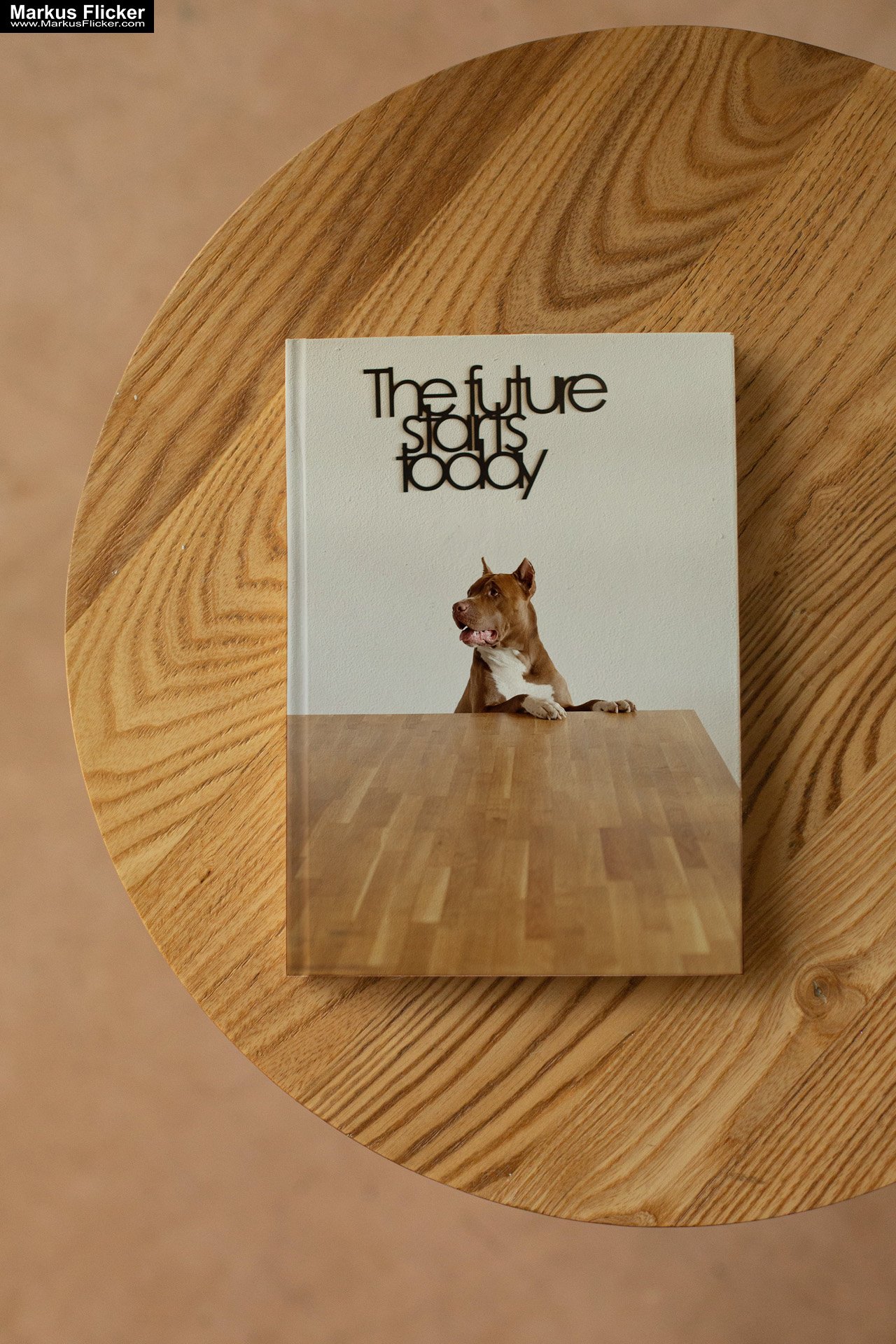 Mehr über den Artikel erfahren Organisiert durch den Tag: Das ultimative DAILY TO-DO LIST Notizbuch mit integrierter Checkliste. Pure Elegance: Der White Minimalist Notes Paper Planner für strukturierte Klarheit und kreativen Fokus „The future starts now“ Motiv mit Hund“ The Future Starts Today inkl. 37 Tipps und Tricks für einen organisierten Tag