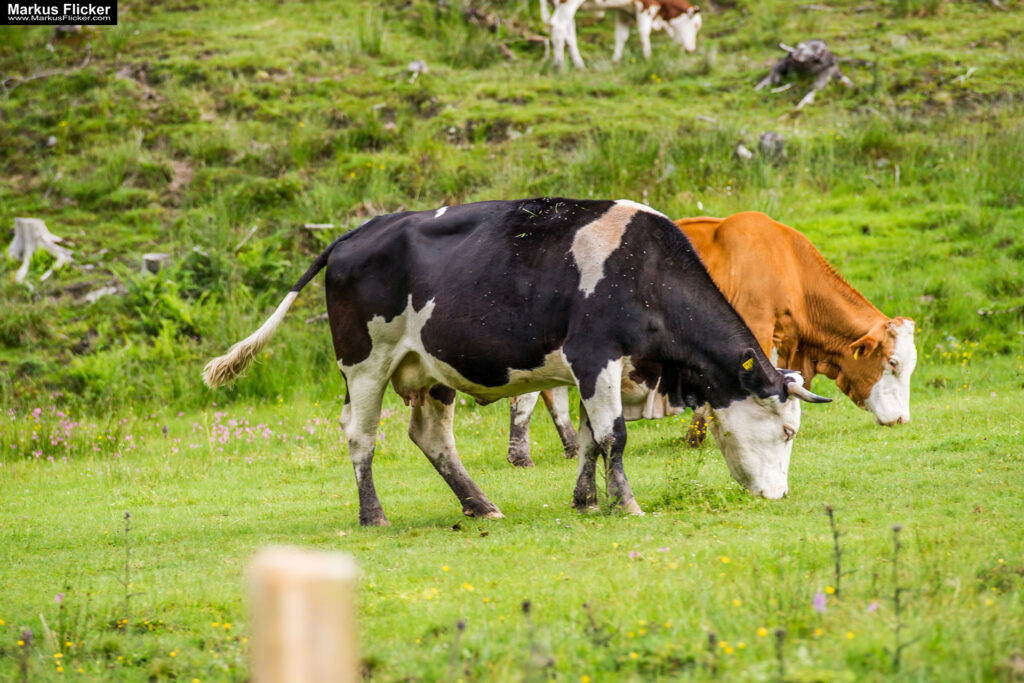 Extreme Sportfotografie und Reisefotografie in Österreich, Slowenien, Kroatien, Ungarn und Italien