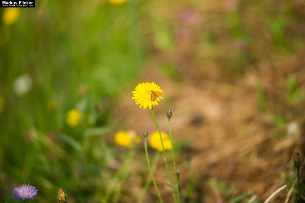 Extreme Sportfotografie und Reisefotografie in Österreich, Slowenien, Kroatien, Ungarn und Italien