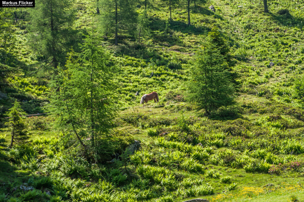 Extreme Sportfotografie und Reisefotografie in Österreich, Slowenien, Kroatien, Ungarn und Italien