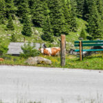 Extreme Sportfotografie und Reisefotografie in Österreich, Slowenien, Kroatien, Ungarn und Italien Die Extreme Sportfotografie bietet dir die Möglichkeit, spektakuläre und dynamische Momente festzuhalten, während du dich inmitten der atemberaubenden Natur Europas bewegst. Länder wie Österreich, Slowenien, Kroatien, Ungarn und Italien bieten eine unvergleichliche Kulisse für actiongeladene Szenen, die dich und deine Betrachter fesseln. Insbesondere die Steiermark in Österreich, mit ihren imposanten Bergen und weiten Tälern, ist ein Paradies für Sportler und Fotografen gleichermaßen. Fotograf Videograf Gleisdorf Graz Content Creator Autor Steiermark Österreich