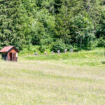 Extreme Sportfotografie und Reisefotografie in Österreich, Slowenien, Kroatien, Ungarn und Italien Die Extreme Sportfotografie bietet dir die Möglichkeit, spektakuläre und dynamische Momente festzuhalten, während du dich inmitten der atemberaubenden Natur Europas bewegst. Länder wie Österreich, Slowenien, Kroatien, Ungarn und Italien bieten eine unvergleichliche Kulisse für actiongeladene Szenen, die dich und deine Betrachter fesseln. Insbesondere die Steiermark in Österreich, mit ihren imposanten Bergen und weiten Tälern, ist ein Paradies für Sportler und Fotografen gleichermaßen. Fotograf Videograf Gleisdorf Graz Content Creator Autor Steiermark Österreich