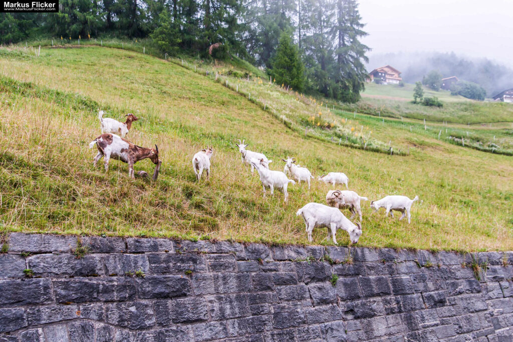 Extreme Sportfotografie und Reisefotografie in Österreich, Slowenien, Kroatien, Ungarn und Italien