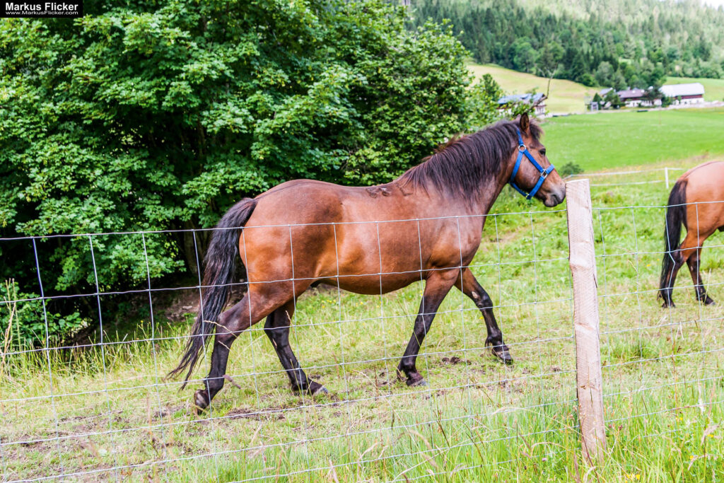 Extreme Sportfotografie und Reisefotografie in Österreich, Slowenien, Kroatien, Ungarn und Italien