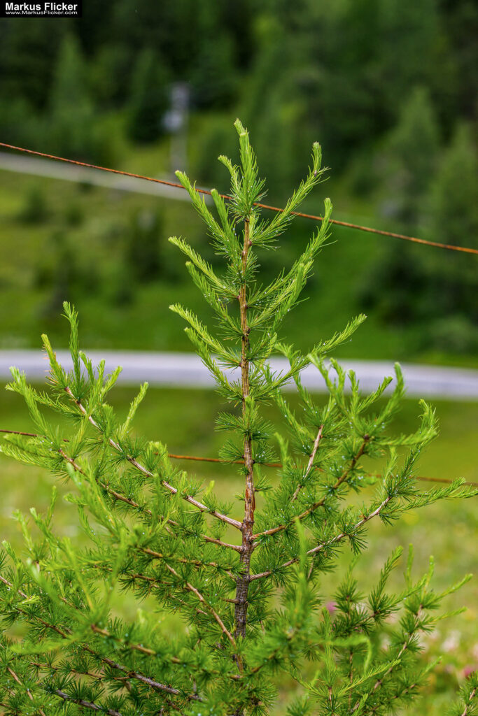 Extreme Sportfotografie und Reisefotografie in Österreich, Slowenien, Kroatien, Ungarn und Italien