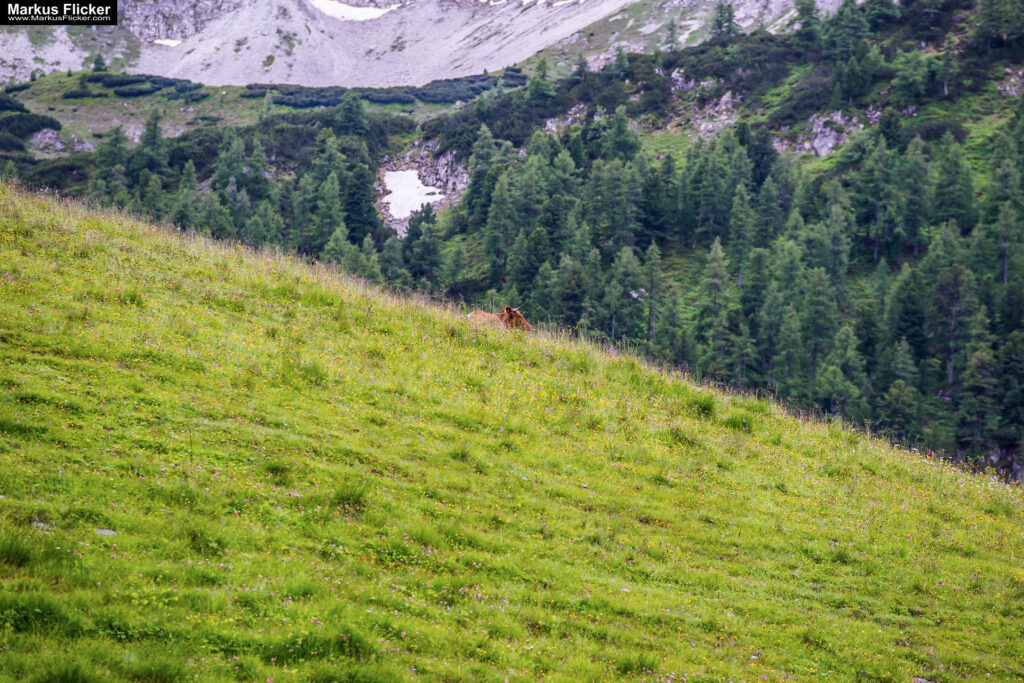 Extreme Sportfotografie und Reisefotografie in Österreich, Slowenien, Kroatien, Ungarn und Italien