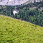 Extreme Sportfotografie und Reisefotografie in Österreich, Slowenien, Kroatien, Ungarn und Italien Die Extreme Sportfotografie bietet dir die Möglichkeit, spektakuläre und dynamische Momente festzuhalten, während du dich inmitten der atemberaubenden Natur Europas bewegst. Länder wie Österreich, Slowenien, Kroatien, Ungarn und Italien bieten eine unvergleichliche Kulisse für actiongeladene Szenen, die dich und deine Betrachter fesseln. Insbesondere die Steiermark in Österreich, mit ihren imposanten Bergen und weiten Tälern, ist ein Paradies für Sportler und Fotografen gleichermaßen. Fotograf Videograf Gleisdorf Graz Content Creator Autor Steiermark Österreich