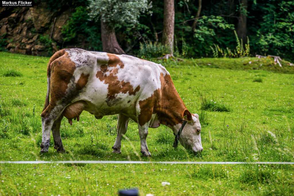 Extreme Sportfotografie und Reisefotografie in Österreich, Slowenien, Kroatien, Ungarn und Italien